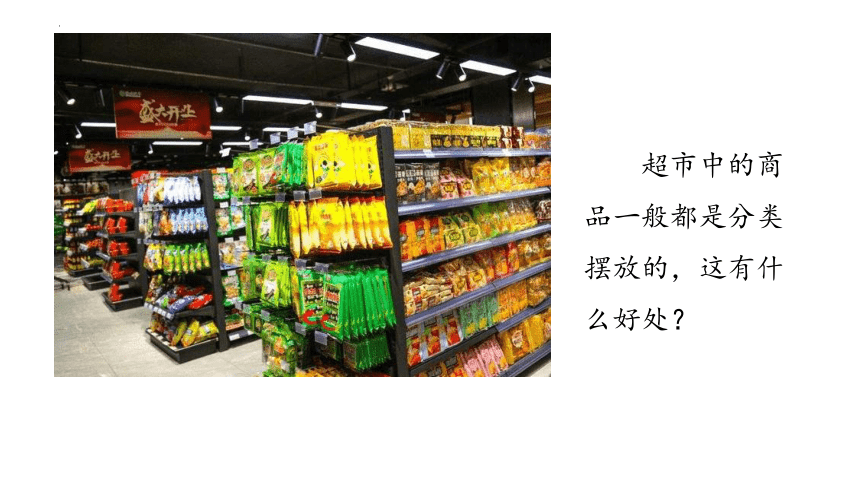 2021--2022学年八年级生物下册北师大版第22章第1节生物的分类课件(共18张PPT)