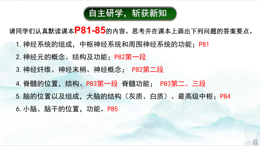 3.5.2神经调节的结构基础课件（共21张PPT）2022-2023学年济南版生物七年级下册