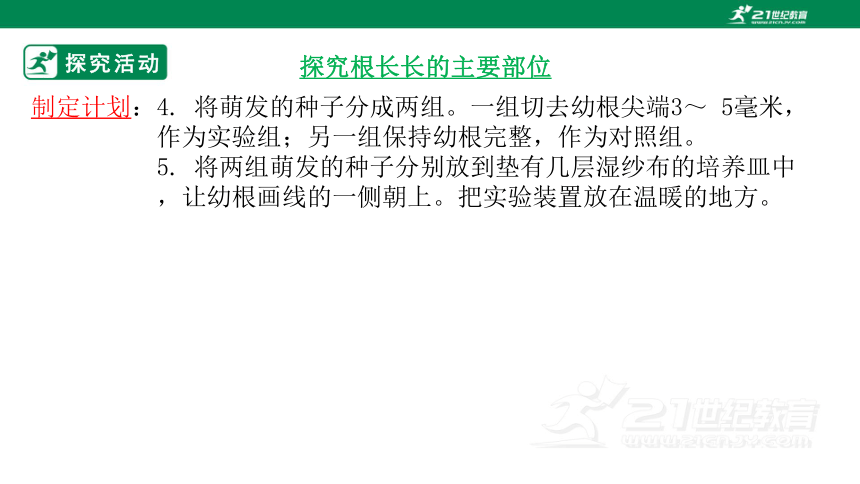 4.1.5 根的结构与功能-2022-2023学年八年级生物上册同步课件（济南版）(共41张PPT)