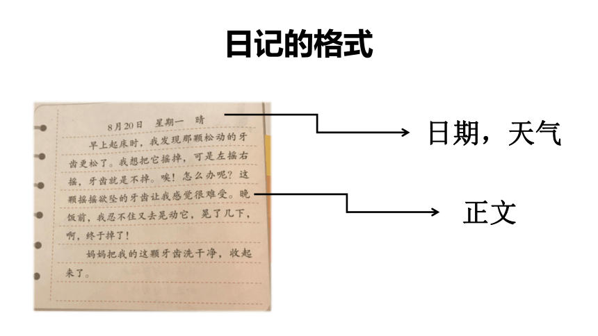 统编版三年级上册 语文园地二 课件（53张）