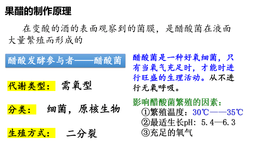 生物人教版选修1-1.1果酒和果醋的制作课件(23张PPT）