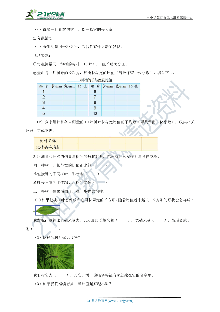 新课标苏教版六上3.9《树叶中的比》导学案