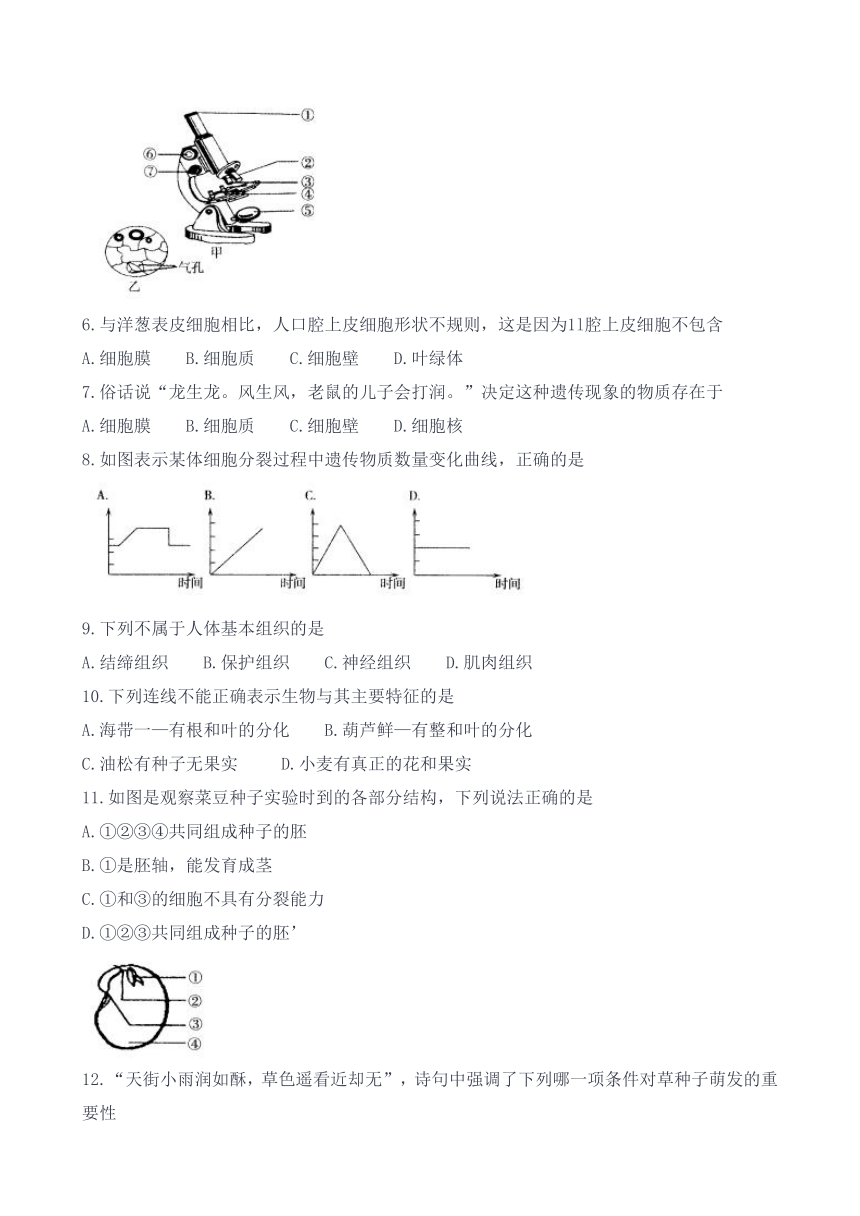 河南省新乡市原阳县2020-2021学年上学期七年级期末生物试卷（word版含答案）