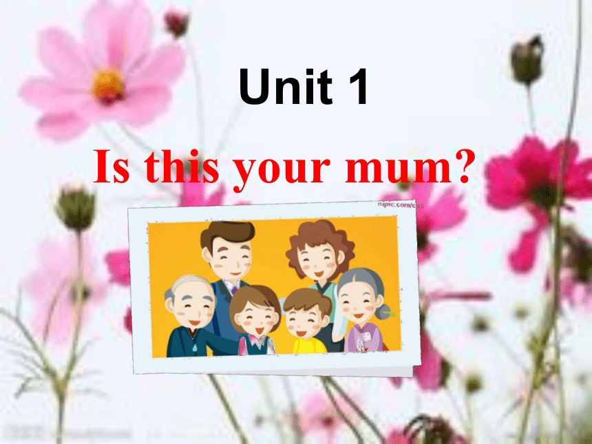 Module 2 Unit1 Is this your mum课件(共26张PPT)2022-2023学年七年级外研版英语上册