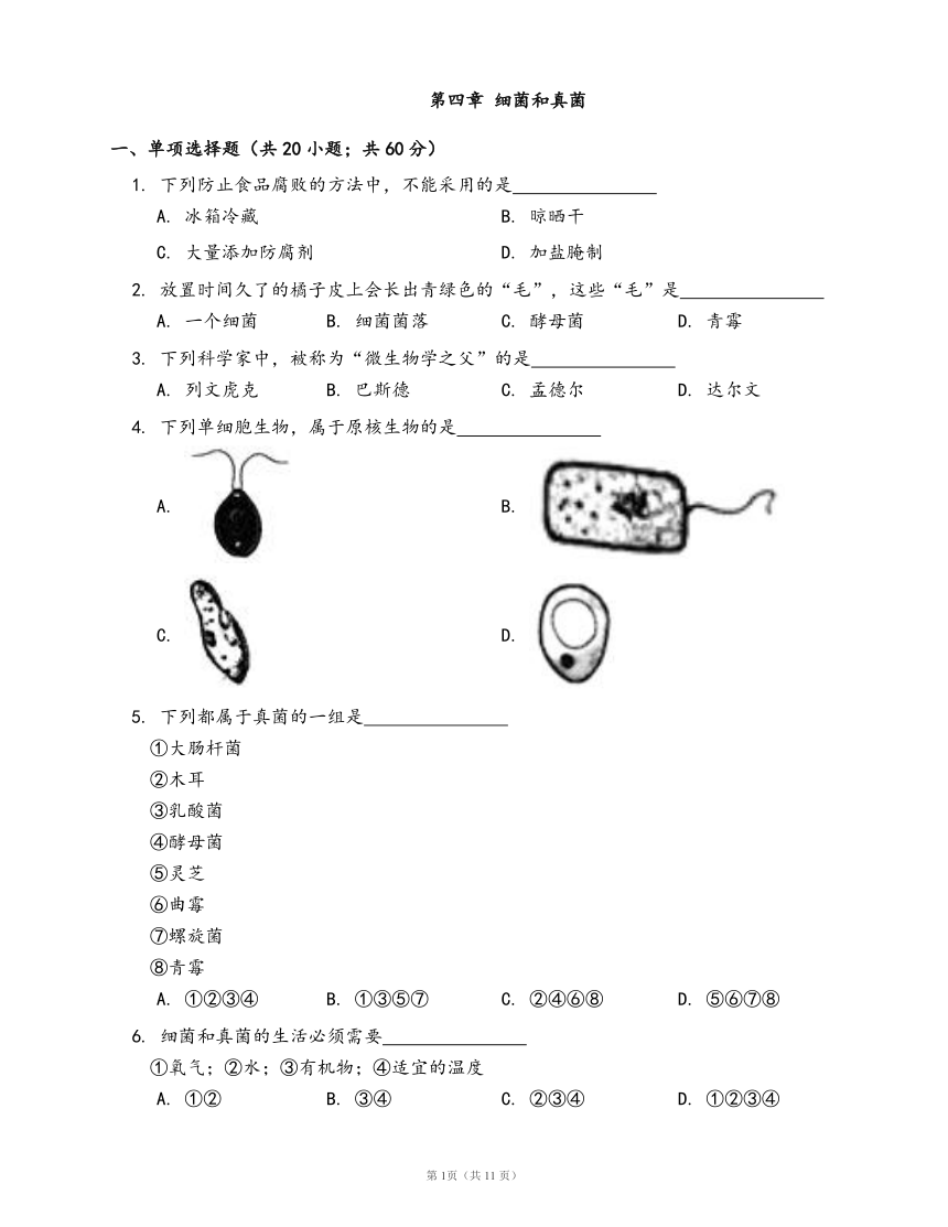 人教版八年级生物上册单元检测卷第五单元第四章 细菌和真菌（word版，含部分答案解析）