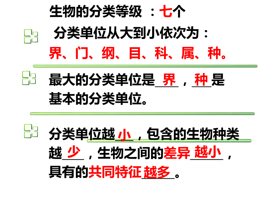 1.5.2练习对生物进行鉴别课件(共17张PPT)2021--2022学年冀少版七年级上册生物