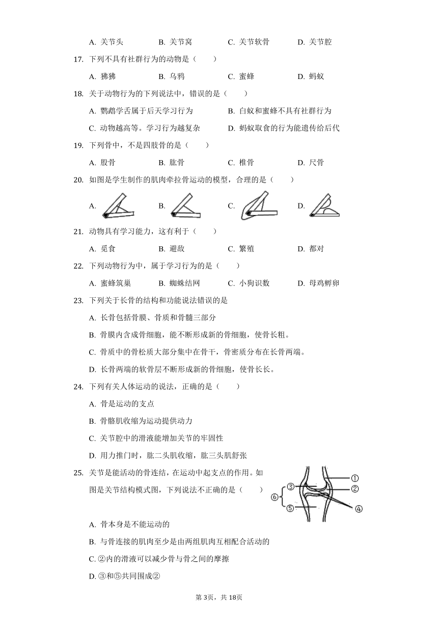 人教版八年级生物上册 5.2 动物的运动和行为 单元测试卷（含答案）