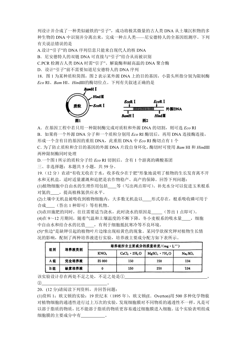 河南省部分名校联盟2023-2024学年高二下学期4月联考生物学试题（含解析）