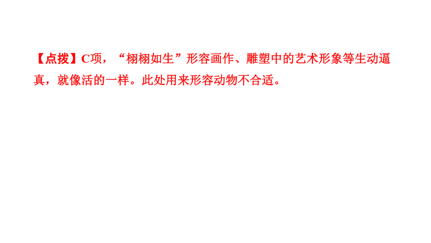 23 太空一日 讲练课件——2020-2021学年湖北省黄冈市七年级下册语文部编版(共19张PPT)