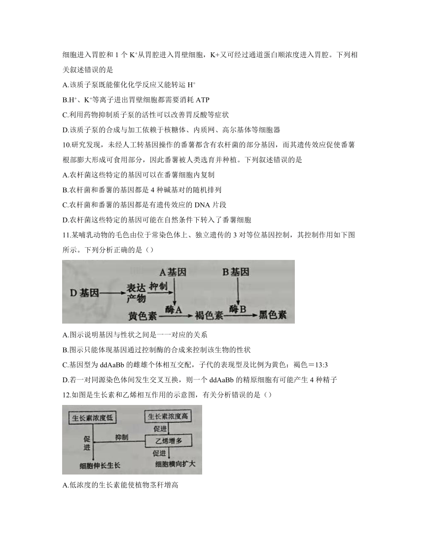 辽宁省锦州市渤海大学附属高级中学2021届高三下学期2月开学摸底考试生物试题    含答案