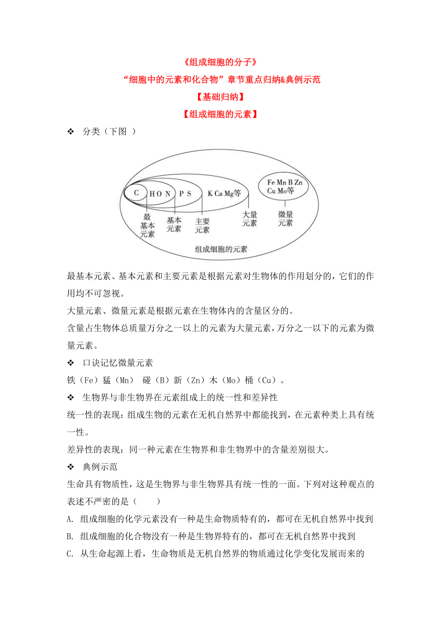 人教版（2019）必修一备考期末-《组成细胞的分子》-“细胞中的元素和化合物”章节重点归纳&典例示范学案（含答案）