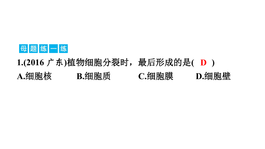 2023年中考生物复习专题课件★★细胞怎样构成生物体