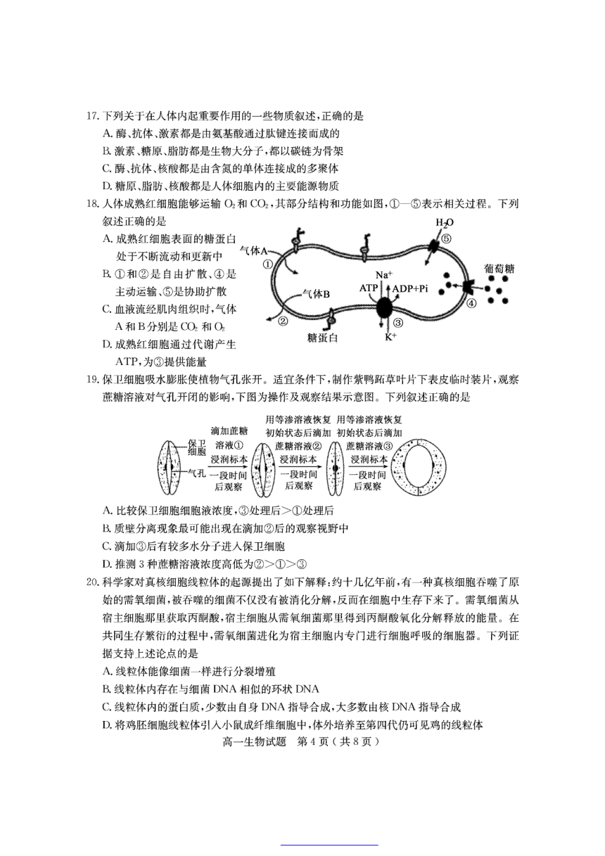 山东省聊城市2021-2022学年高一上学期期中考试生物试题（PDF版含答案）