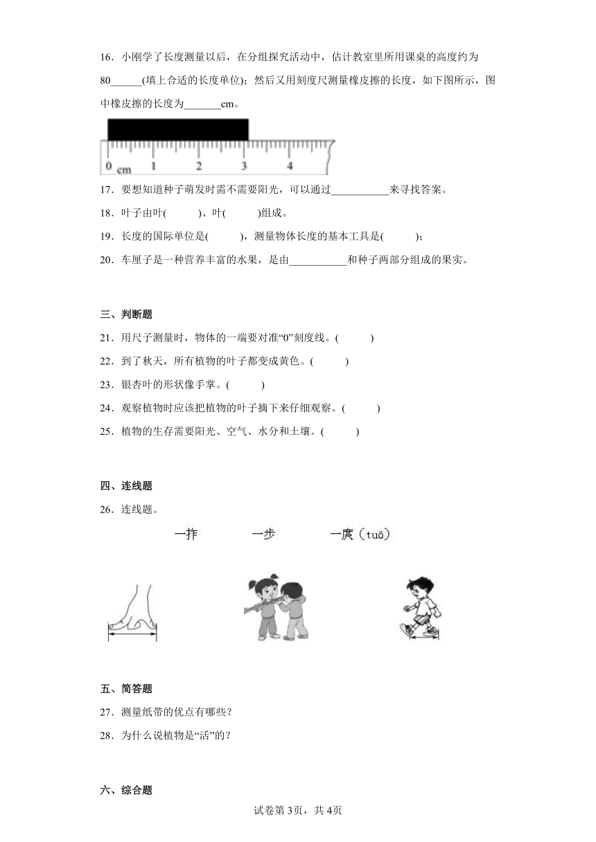 教科版（2017秋）一年级科学上册期末综合测试B卷含答案