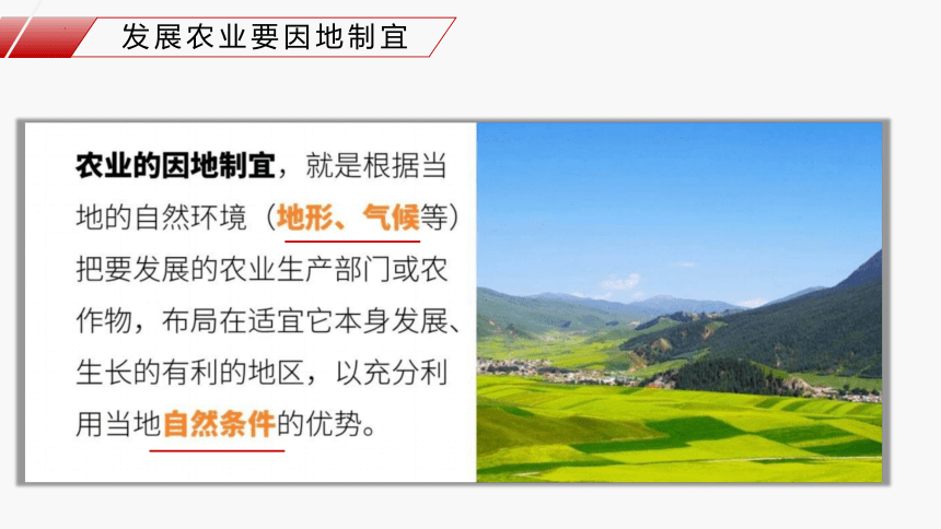 4.1 农业（精品课件）-2022-2023学年八年级上学期同步精品课件（湘教版）(共64张PPT)