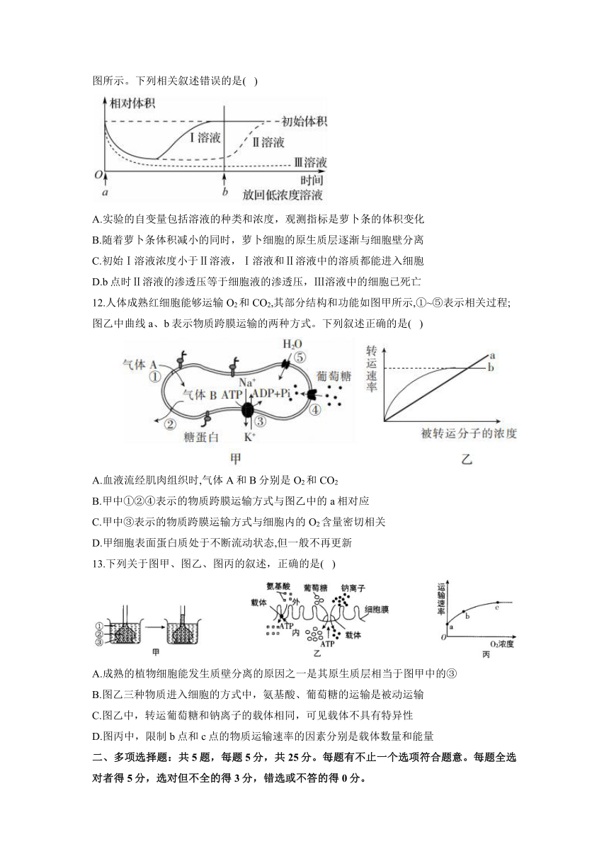 第2章 细胞的结构和生命活动 能力提升2022-2023学年高一上学期生物苏教版必修1（word版含解析）