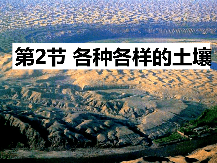 4.2各种各样的土壤—2020-2021学年浙教版八年级科学下册课件（课件 39张ppt）