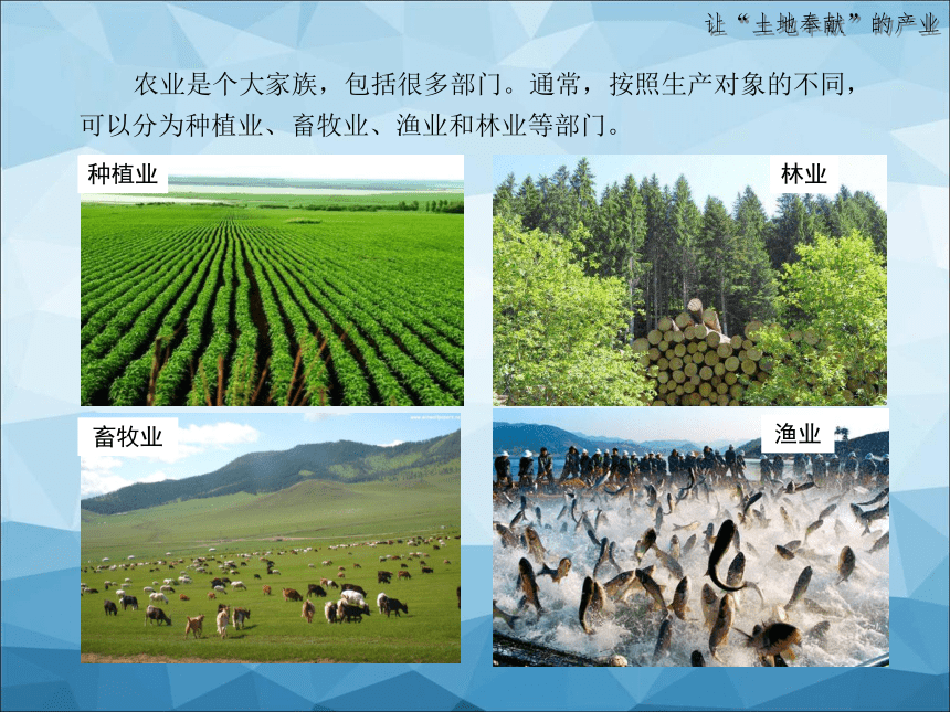 2021-2022学年湘教版地理八年级上册4.1农业课件（共42张PPT）