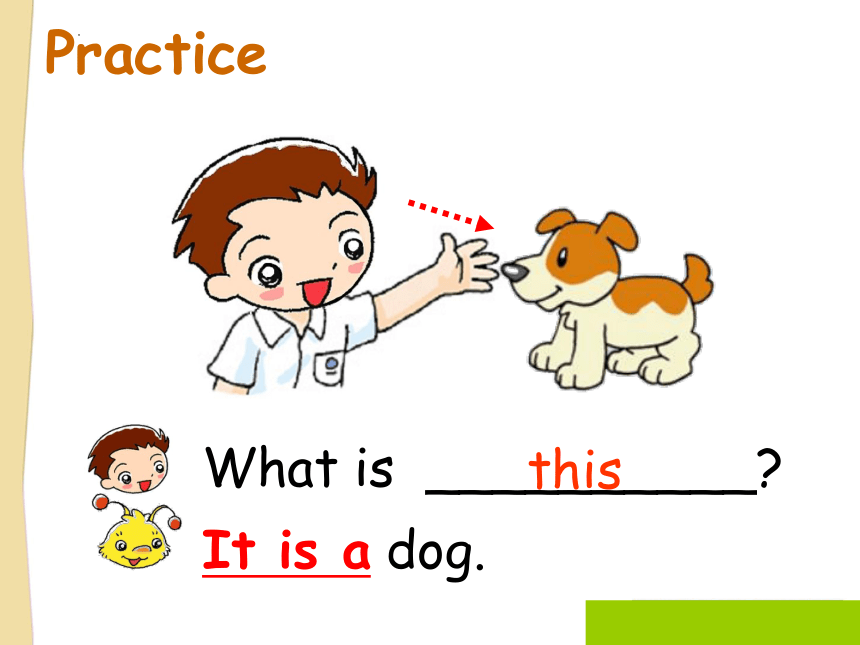 Chapter1 Choosing a pet-E 课件（共37张PPT）