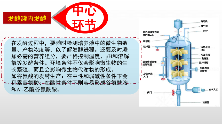 2020-2021学年人教版（2019）高二生物选择性必修三1.3 发酵工程及其应用 课件 （共32张ppt）