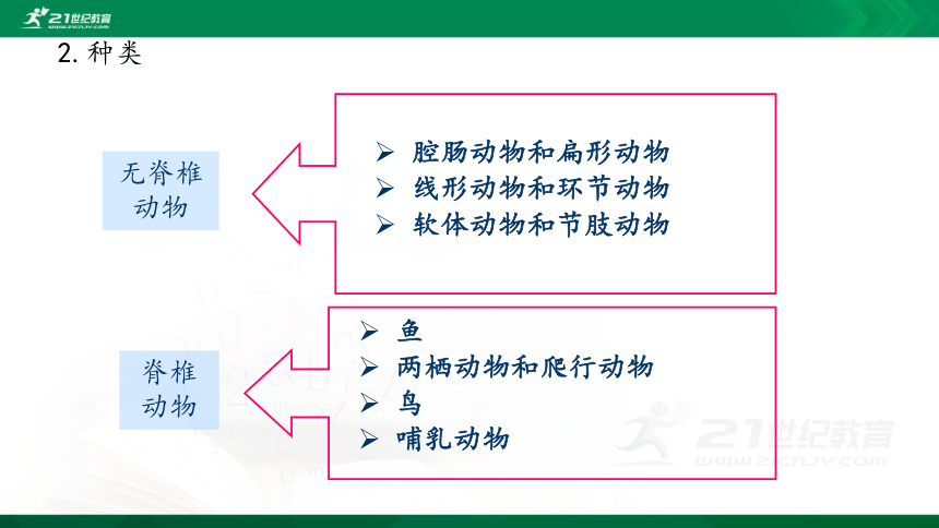 5.1.1腔肠动物和扁形动物课件（共39张PPT）（内含嵌入视频）