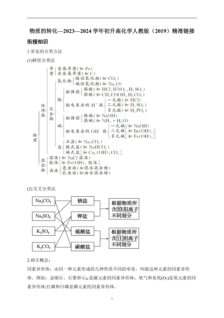 物质的转化—2023—2024学年初升高化学人教版（2019）精准链接 同步学案 (含解析)