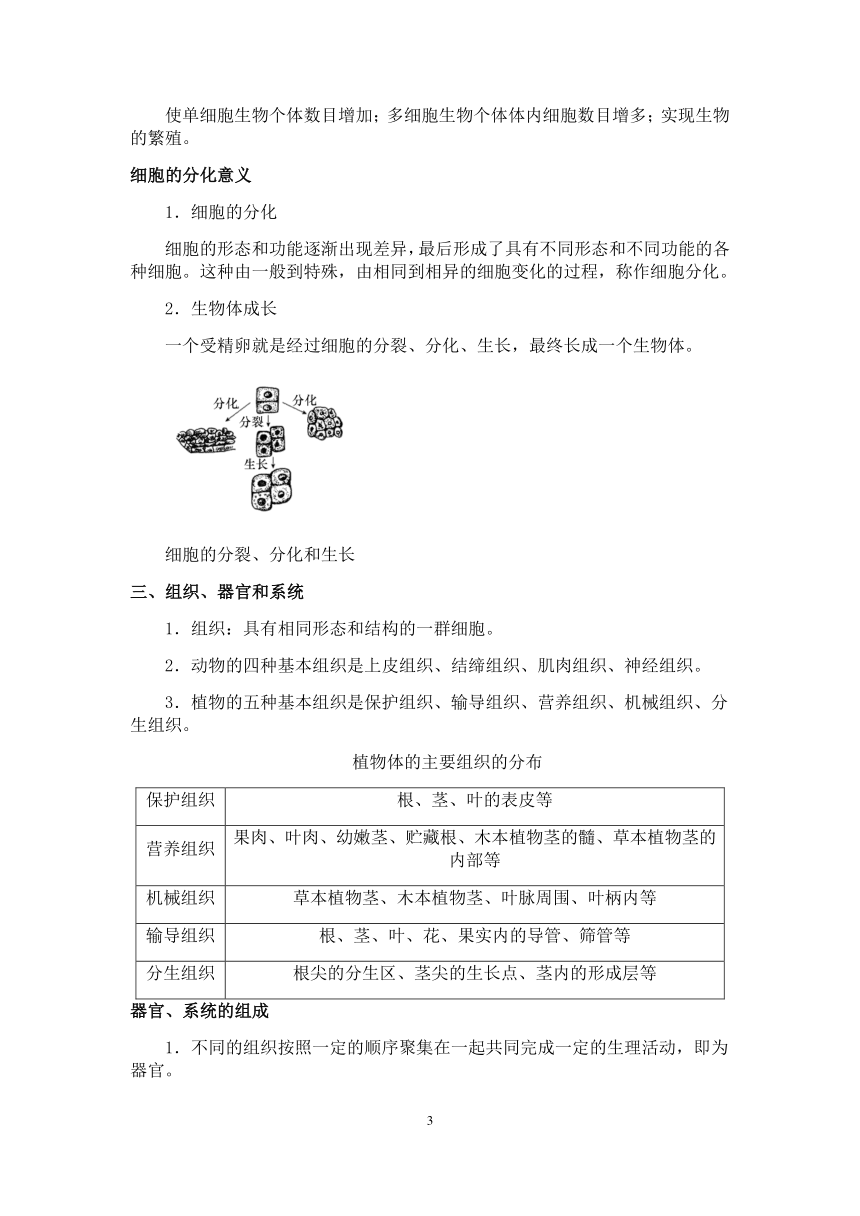 【备考2023】浙教版科学中考第一轮复习--生物模块（二）：细胞【word，含答案解析】