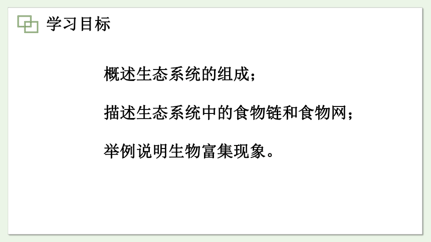 7.19.1 生态系统的组成课件(共27张PPT)2023-2024学年初中生物苏教版八年级上册