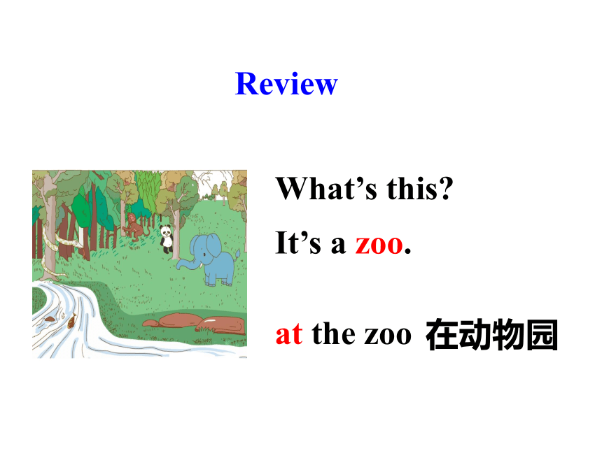 Unit 2 Animals at the Zoo  Lesson 8 Tigers and Bears课件 (共16张PPT)