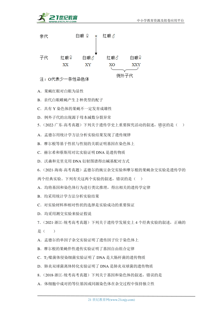 五年2018-2022高考生物真题按知识点分类汇编35-遗传与进化-基因位于染色体上（含解析）