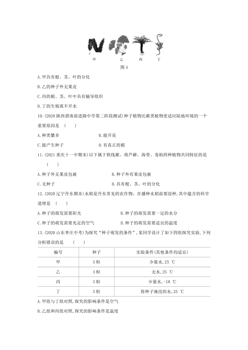 第三单元 第一章生物圈中有哪些绿色植物&第二章被子植物的一生练习(word版含解析）