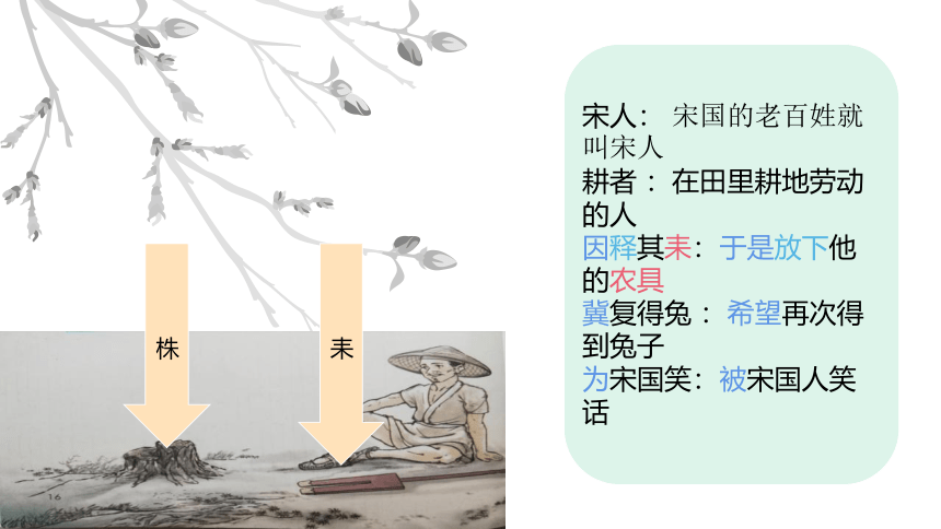 5.《 守株待兔》课件(共22张PPT)