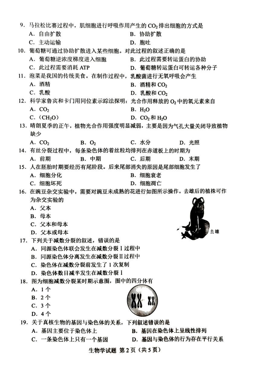 2023年湖南省普通高中学业水平考试真题生物学试卷（PDF版，无答案）