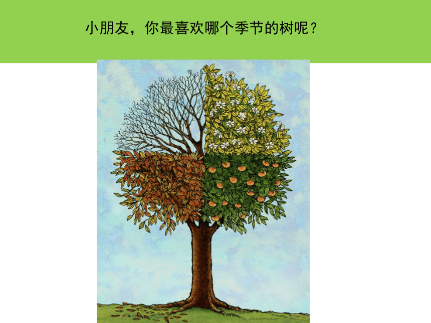 苏少版二年级美术下册 第9课　树上树下（一）课件(共19张PPT)