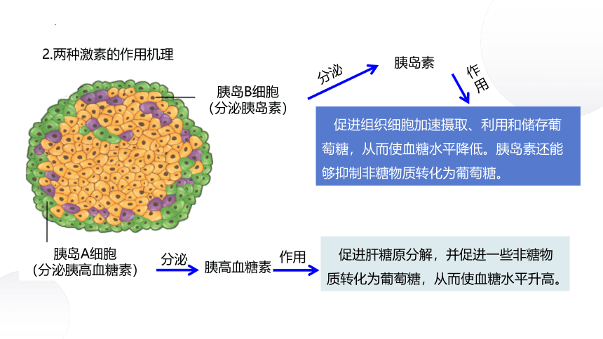 2.2+血糖平衡的调节（课件）-2022-2023学年高二生物同步课堂（苏教版2019选择性必修1）(共27张PPT)