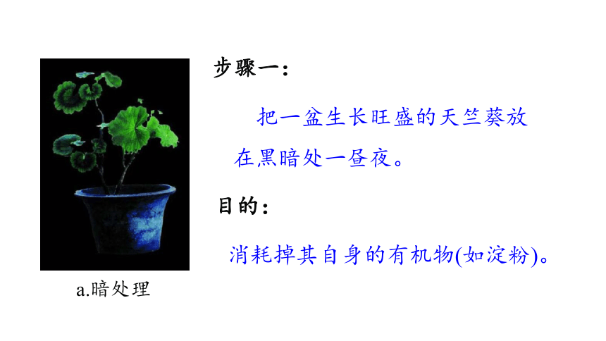 3.6.3  植物光合作用的实质课件（共35张PPT)2023-2024学年初中生物苏教版七年级上册