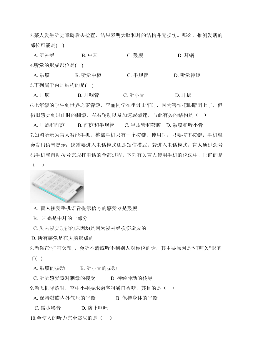 3.2 耳与听觉  学案（含解析）