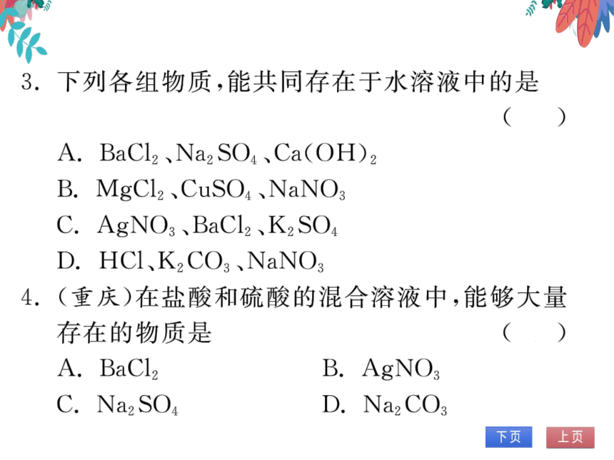 【人教版】化学九年级下册-第十一单元 专题四 物质的共存 (习题课件)