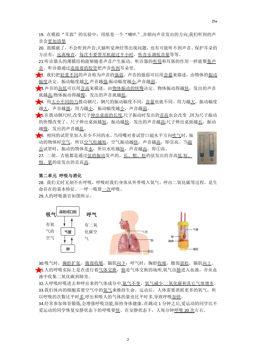 四年级上册科学素材    期末知识点总结资料   PDF   教科版