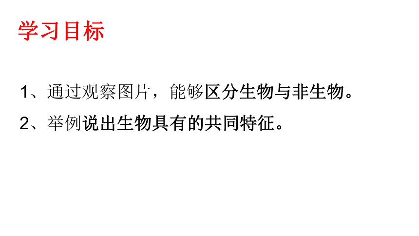 1.1.1生物的特征课件2022－－2023学年人教版生物七年级上册（共28张PPT）