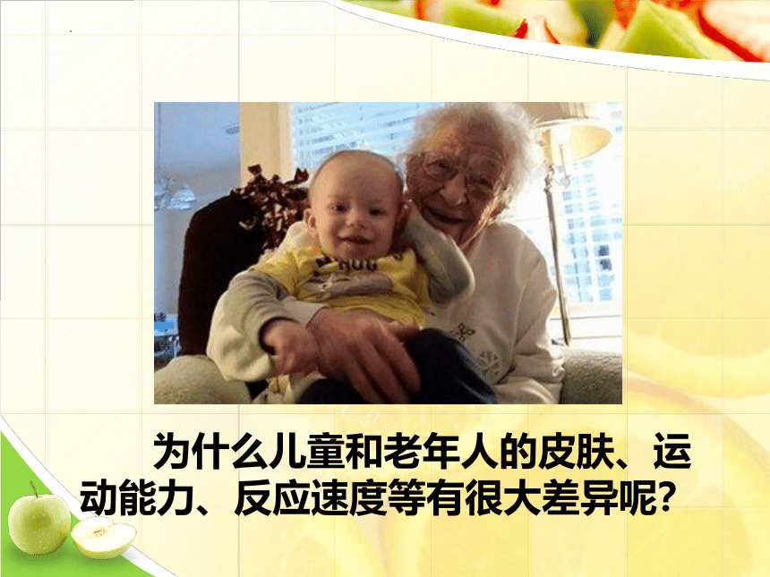 3.5.2  营养物质的作用  课件(共36张PPT)2022-2023学年苏科版生物七年级上册