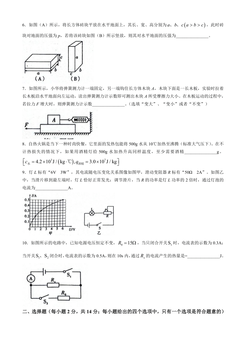 2024年安徽省合肥市新站区中考一模物理试题卷(Word版无答案)