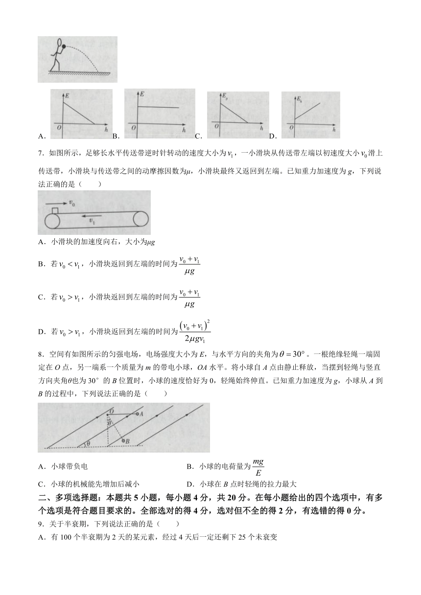 海南省2023-2024学年高三下学期学业水平诊断（四）物理 （解析版）