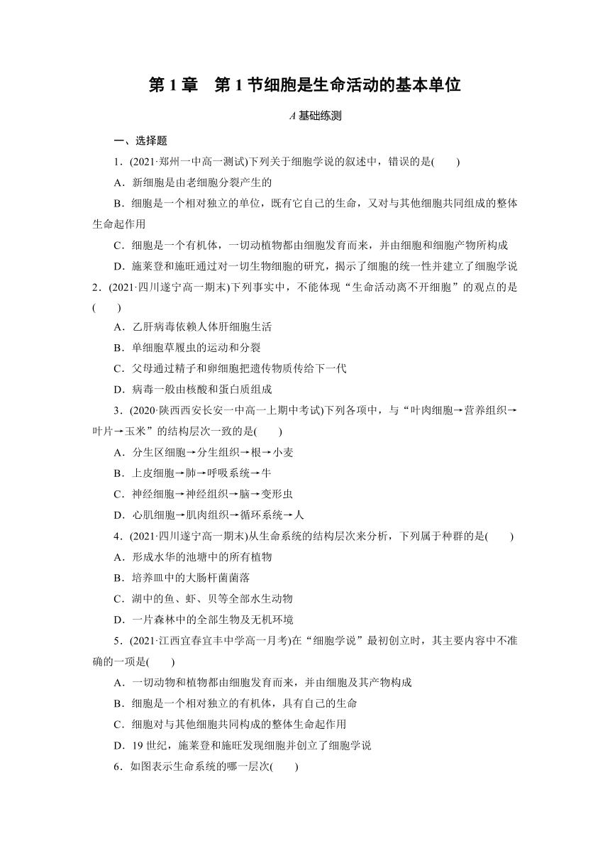 人教版生物必修1第1章 第1节细胞是生命活动的基本单位同步练测（部分有解析）