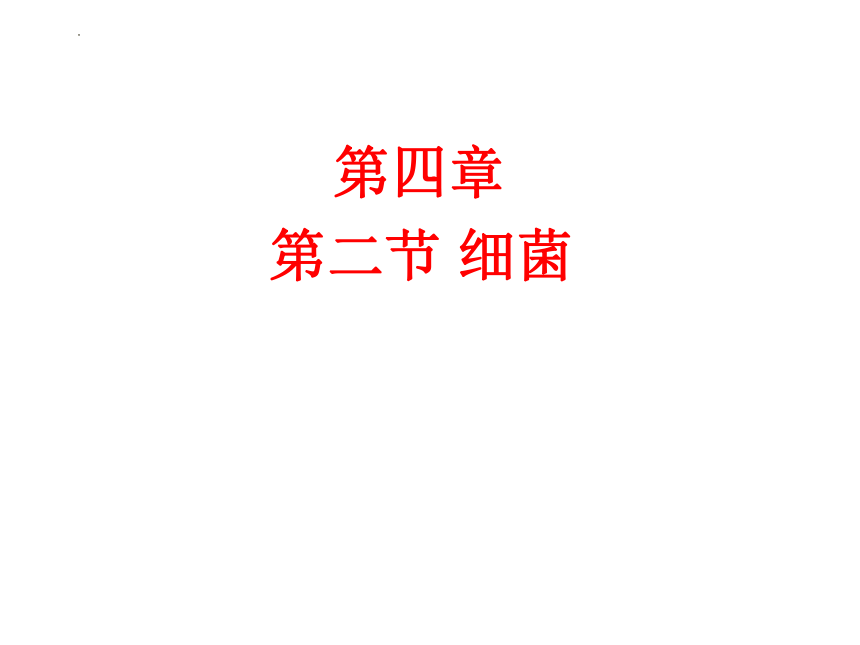 5.4.2细菌  课件(共14张PPT)2022-2023学年人教版生物八年级上册