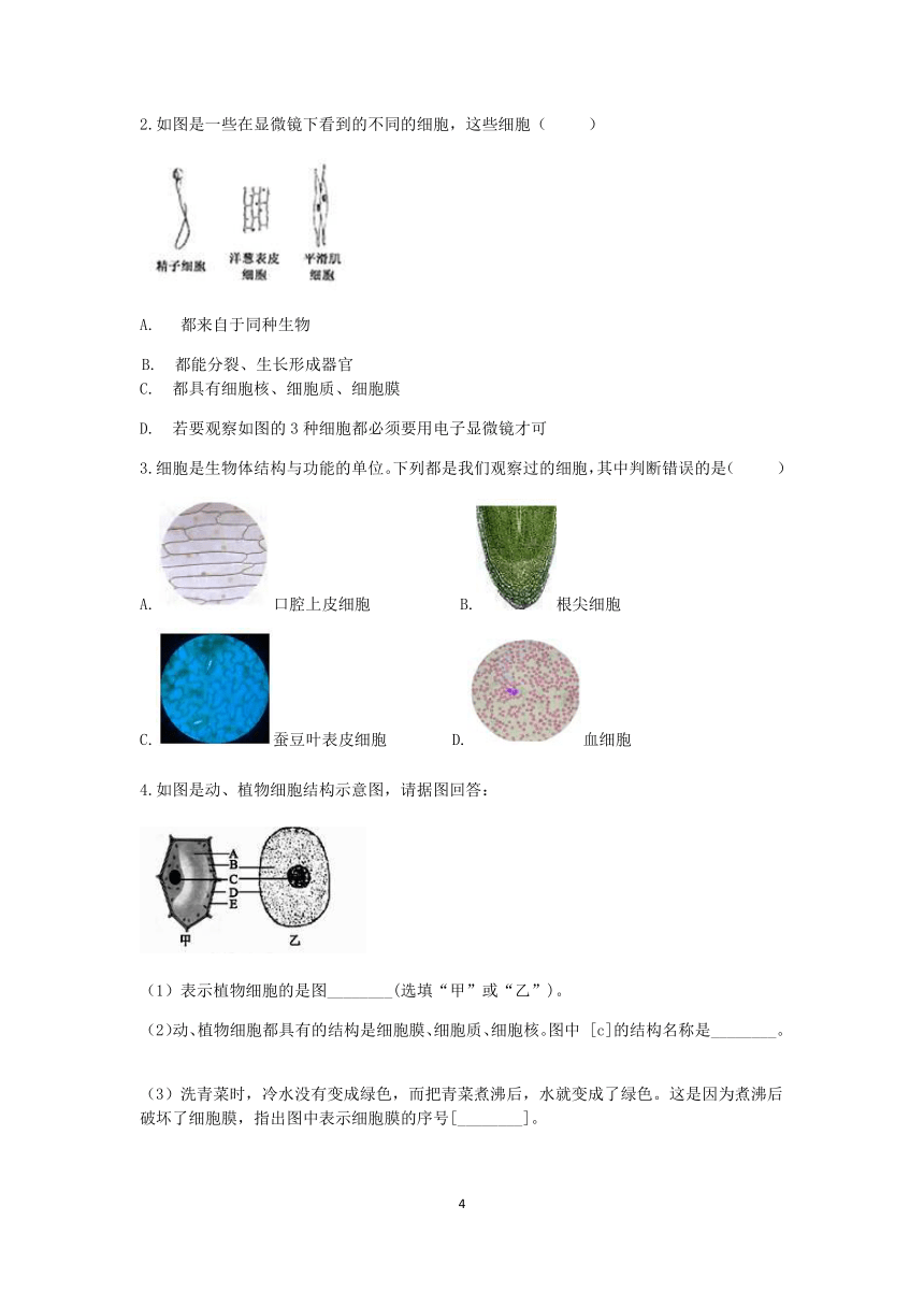 浙教版科学2022-2023学年上学期七年级“冲刺重高”讲义（七）：细胞（1）【word，含解析】