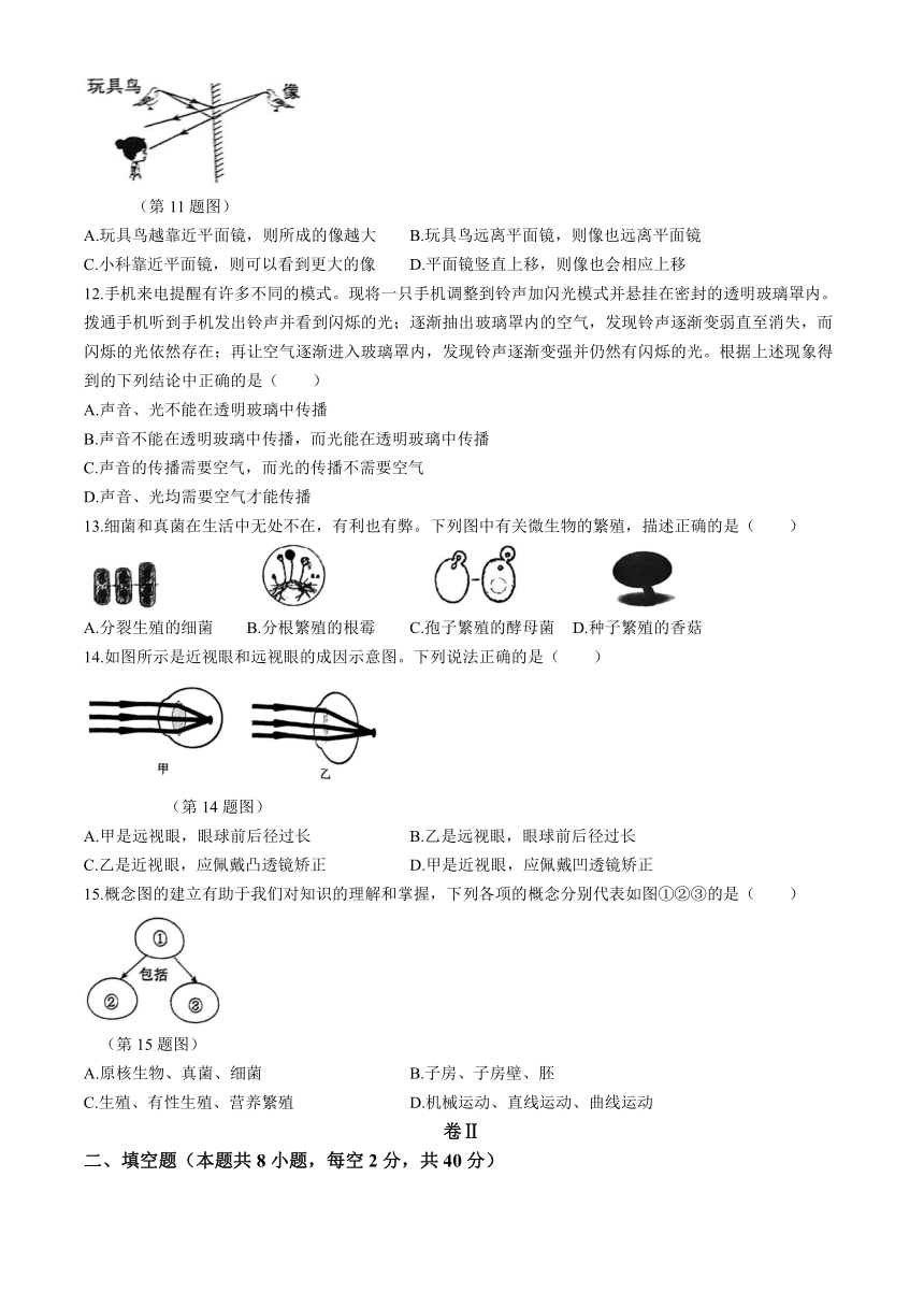 浙江省湖州市华盛达实验中学2023-2024学年七年级下学期4月期中试题卷(到第3章第1节 word版，无答案)