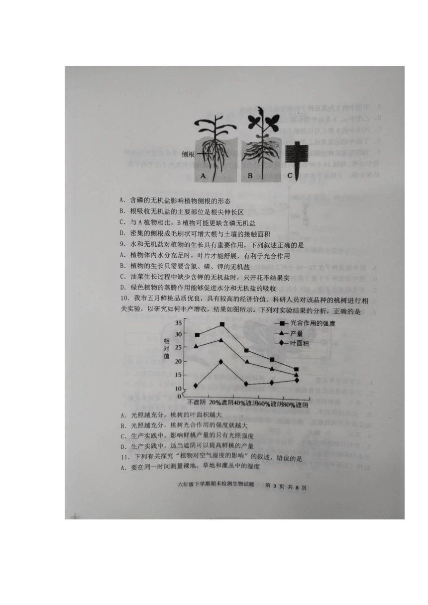 山东省泰安市新泰市2022-2023学年六年级下学期7月期末生物试题（图片版 无答案）