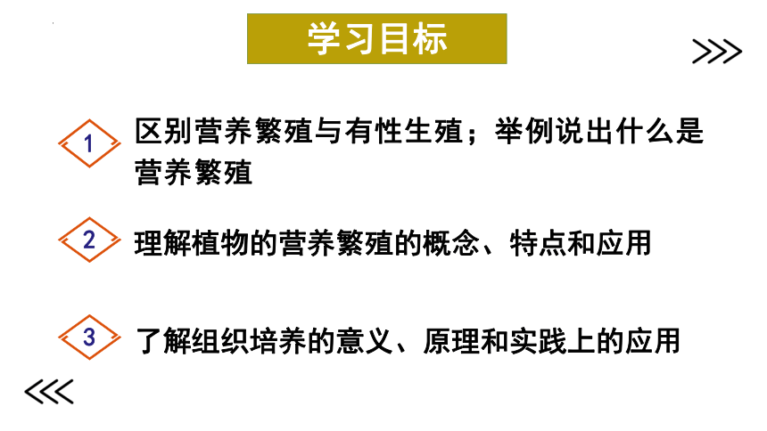 济南版生物八年级上册 4.1.7  植物的营养繁殖  2022-2023学年课件(共26张PPT)