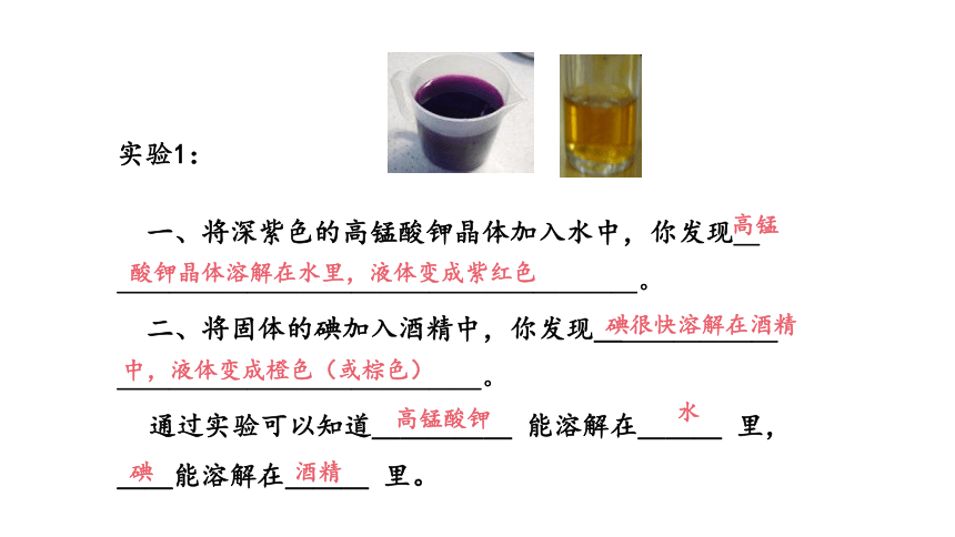 1.4物质在水中的分散状况 （课件 21张PPT)